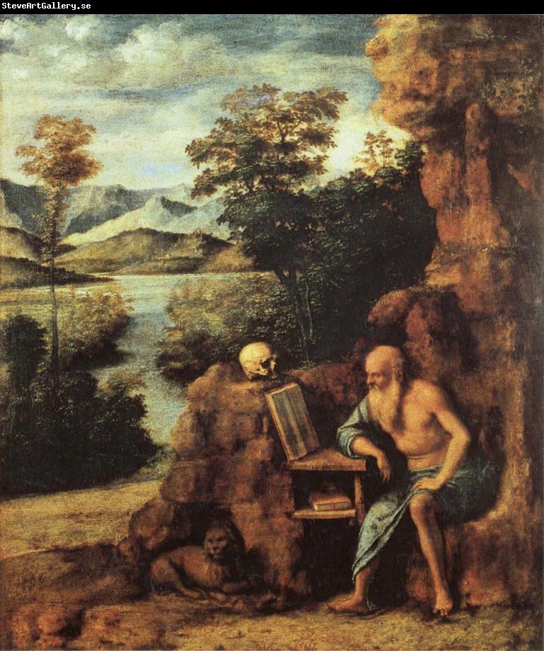 CIMA da Conegliano St.Jerome in the Desert